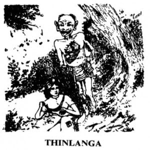 Thinlanga [Mizo Thawnthu] - Sakeibaknei